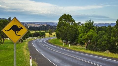 Best Road Trips