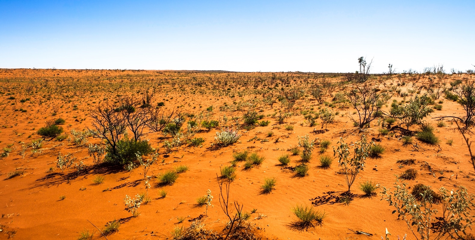 Canning Stock Route WA