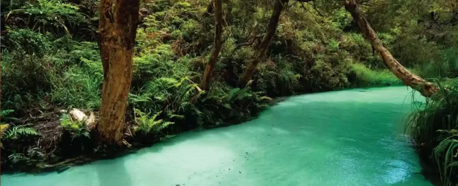 Leisure 20 River in the jungle | image for the Leisure Industries page.